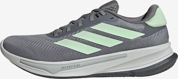 ADIDAS PERFORMANCE - Zapatillas de running 'Supernova' en gris: frente