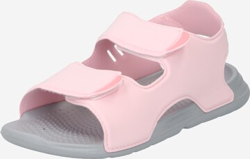 Sandales ADIDAS PERFORMANCE en rose : devant