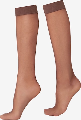 CALZEDONIA Kniestrümpfe in Beige: predná strana