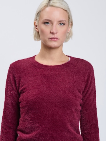 Influencer Kampsun, värv lilla