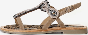 Sandalo di CAFè NOIR in bronzo: frontale