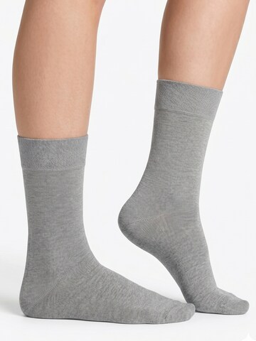 footstar Socks 'EVERYDAY!' in Grey
