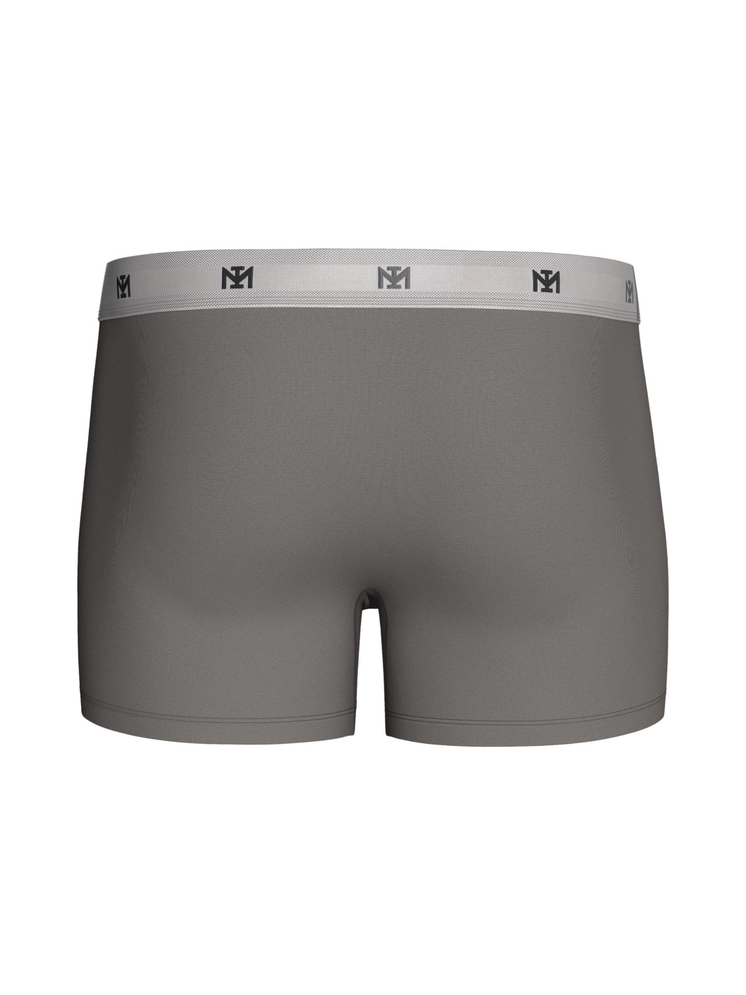 Boxers ' IM1221P11P2 ' IMPETUS en gris