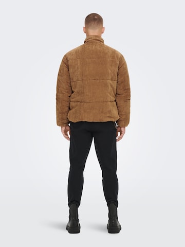 Only & Sons Between-season jacket 'Cash' in Brown