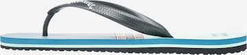 BILLABONG Zehentrenner 'Tides' in Blau: Vorderseite