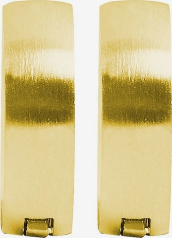 Akzent Earrings 'Messalie, langlebig' in Gold: front