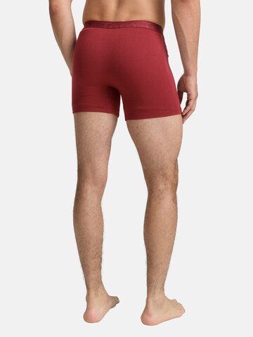 TOM TAILOR Boxershorts in Rood