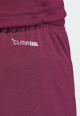 ADIDAS PERFORMANCE - regular Pantalón deportivo 'Entrada26' en rojo