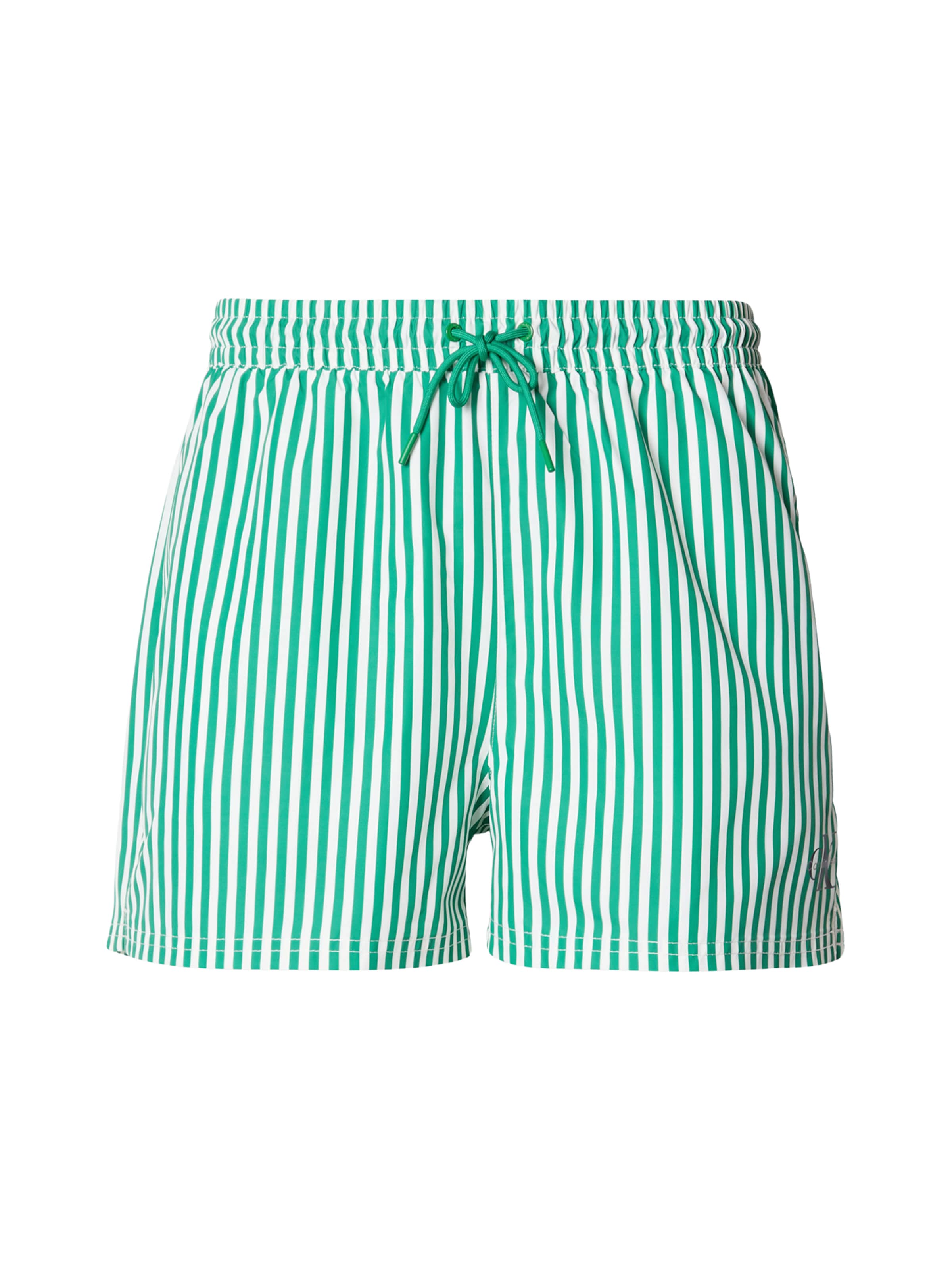 Calvin Klein Swimwear Badeshorts in Grün: Vorderseite