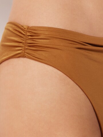 CALZEDONIA Bikini Bottoms in Brown