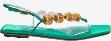 Jeffrey Campbell Sandały 'YUCATAN GREEN SATIN GOLD' w kolorze zielony: przód