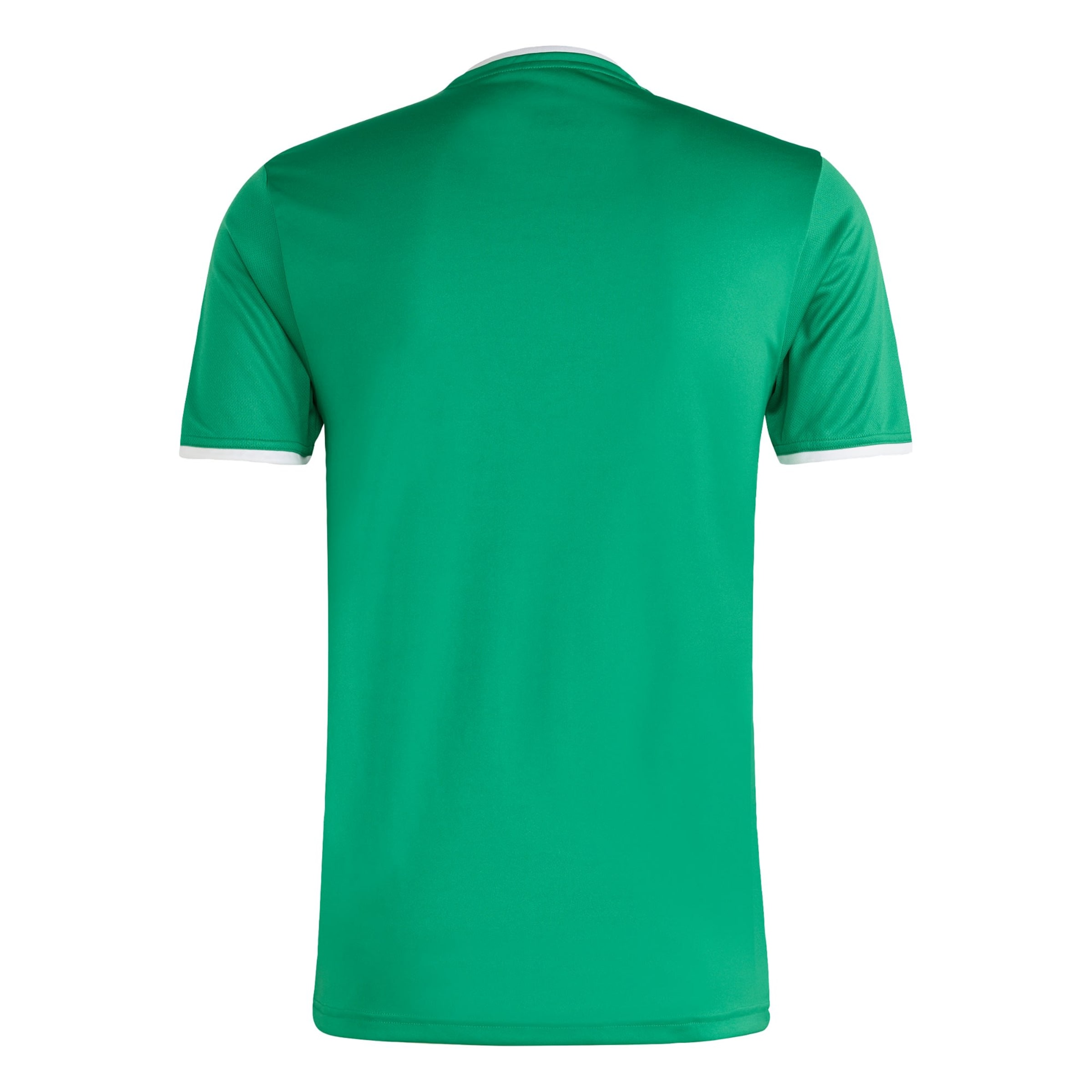 ADIDAS PERFORMANCE Performance shirt 'Entrada26' in Green