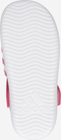 ADIDAS SPORTSWEAR - Sapato de praia/banho 'Summer Closed Toe Water' em rosa