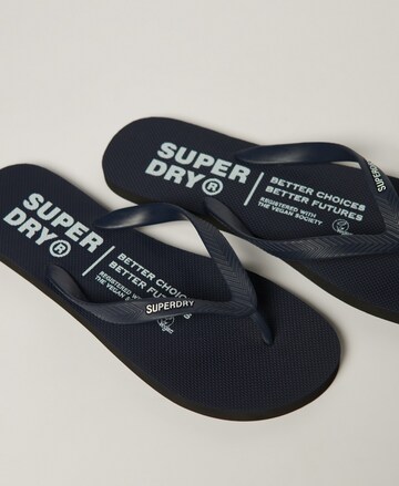 Superdry Zehentrenner in Blau