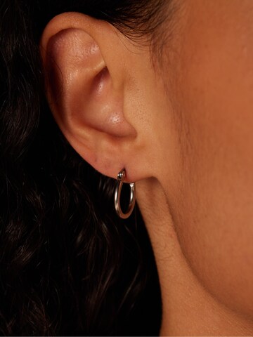 Boucles d'oreilles Lucardi en argent : devant