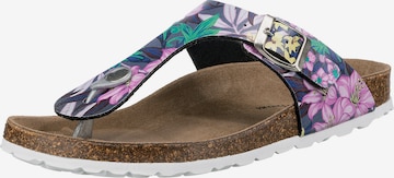 JOLANA & FENENA T-Bar Sandals in Mixed colors: front