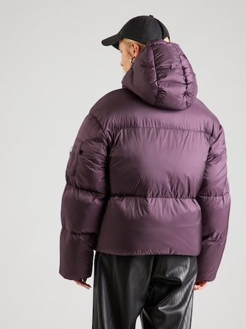 ALPHA INDUSTRIES Winterjas in Lila