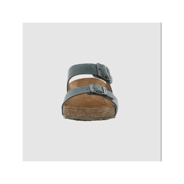 HAFLINGER Sandals in Green