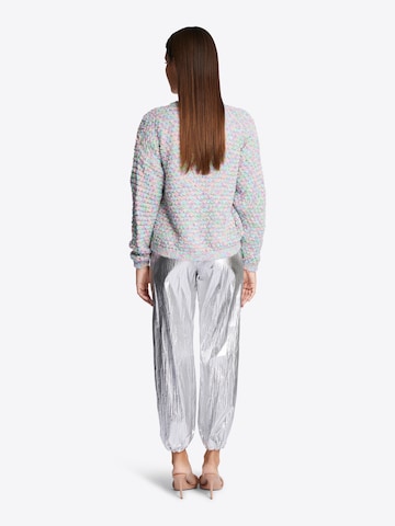 Rich & Royal Tapered Hose in Silber