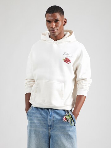Felpa di HOLLISTER in beige