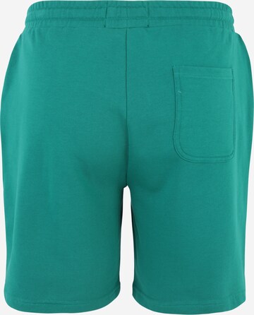 Lyle & Scott Big&Tall Regular Shorts in Grün