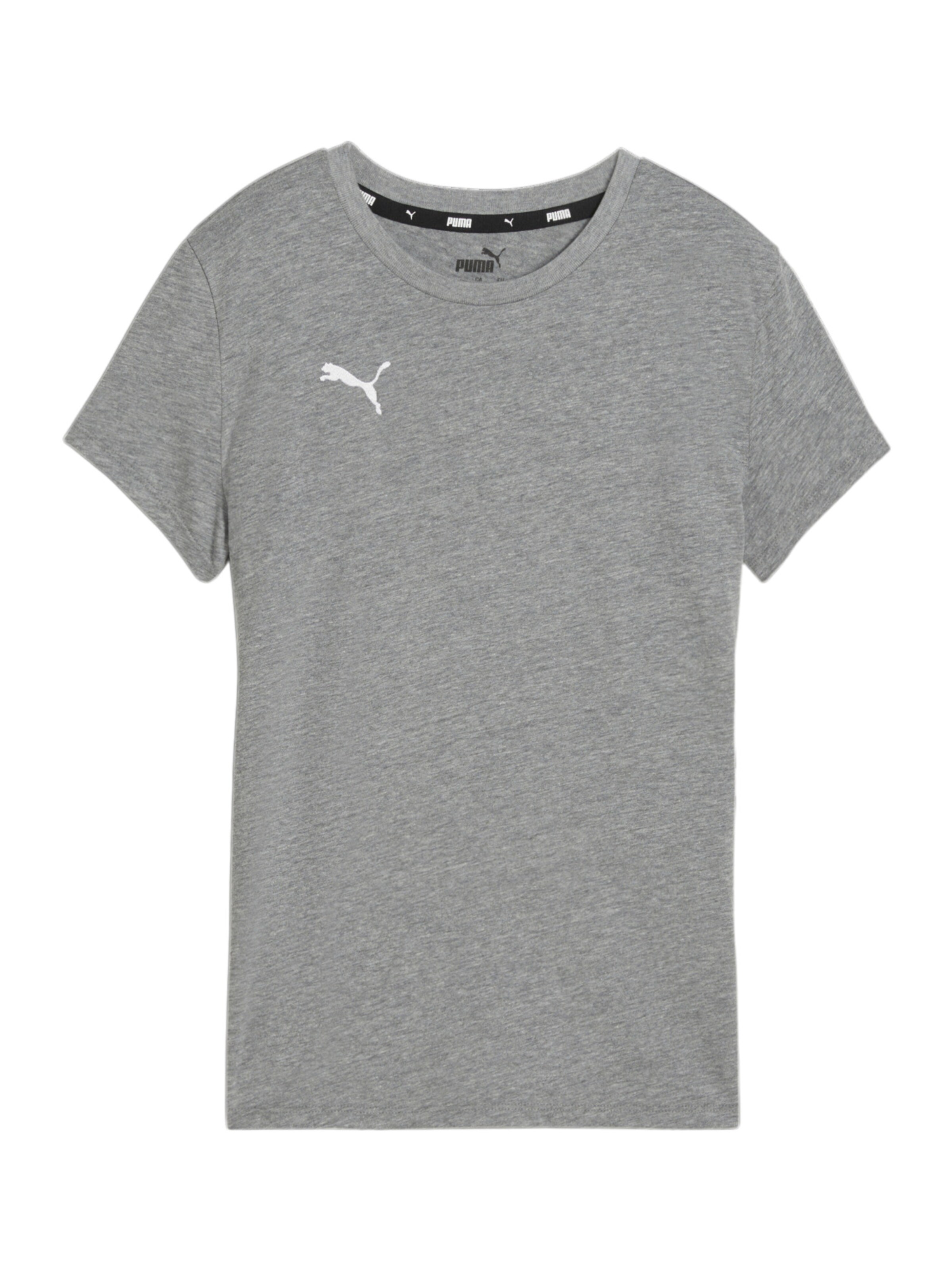 PUMA Funktionsshirt 'TeamGOAL' in Grau: Vorderseite