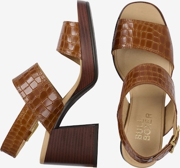 BULLBOXER Strap Sandals in Brown