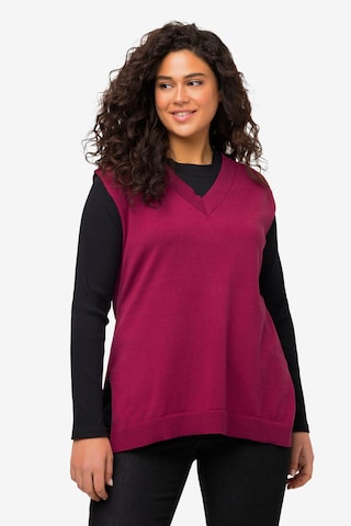 Ulla Popken Sweater in Pink: front