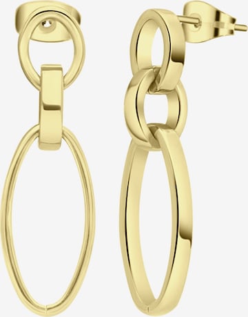 Lucardi Earrings in Gold: front