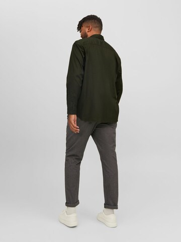 Jack & Jones Plus Regular fit Overhemd 'Gingham' in Groen