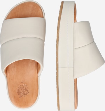 Apple of Eden Mules 'Destiny' in White