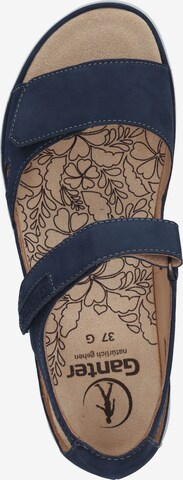 Ganter Sandals in Blue