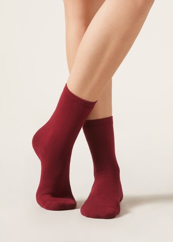 CALZEDONIA Socks in Red: front