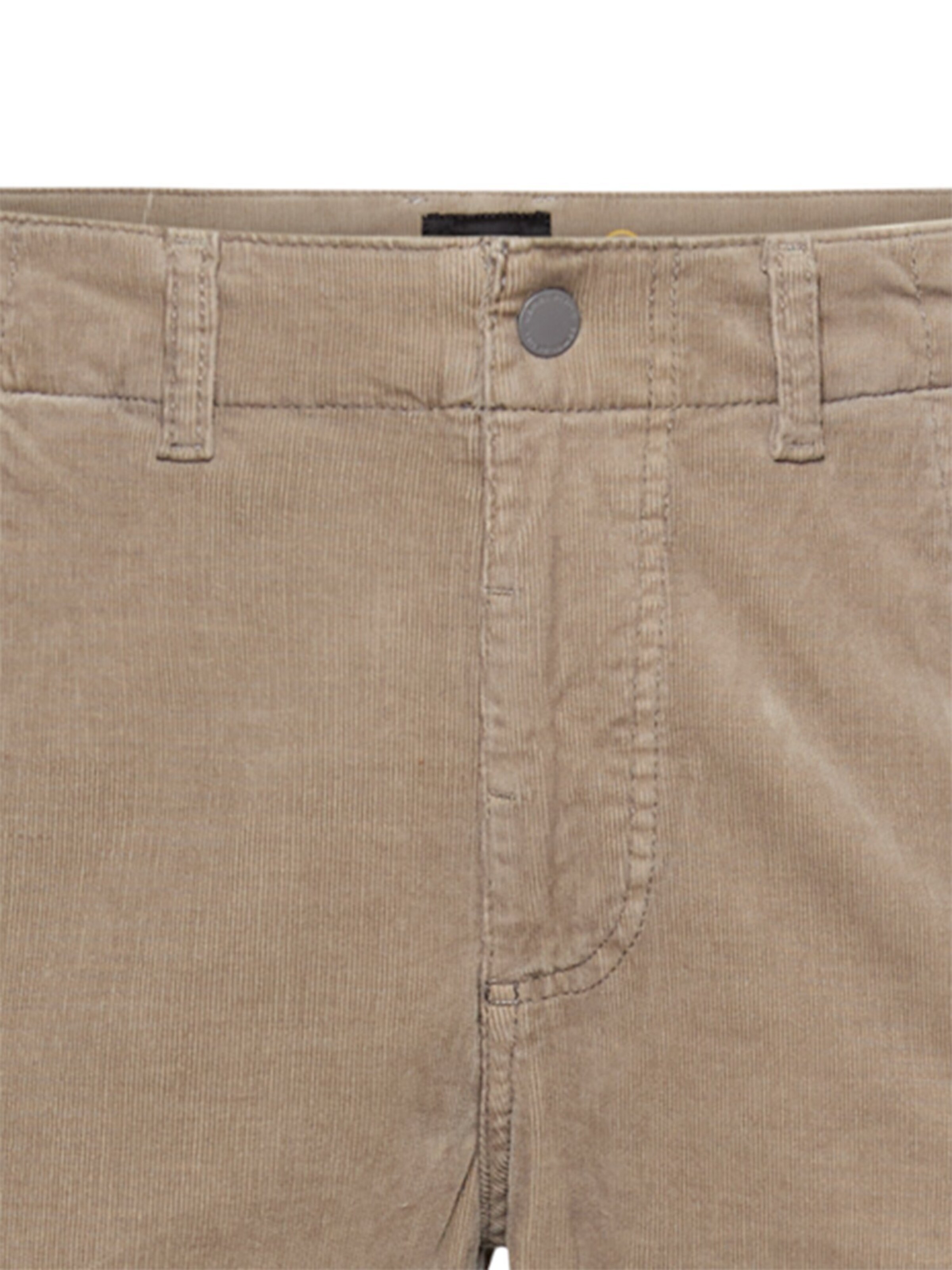 CAMEL ACTIVE Regular Cargo Pants in Beige