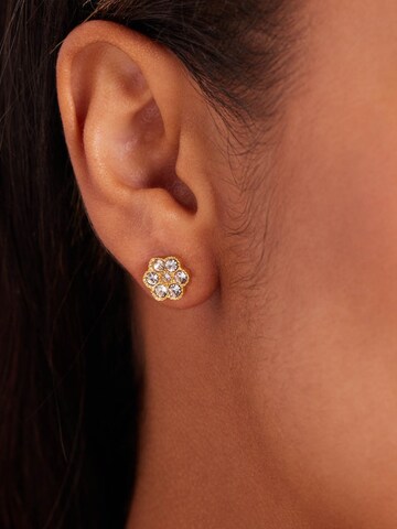 Lucardi Oorbellen 'Weinlese' in Goud: voorkant