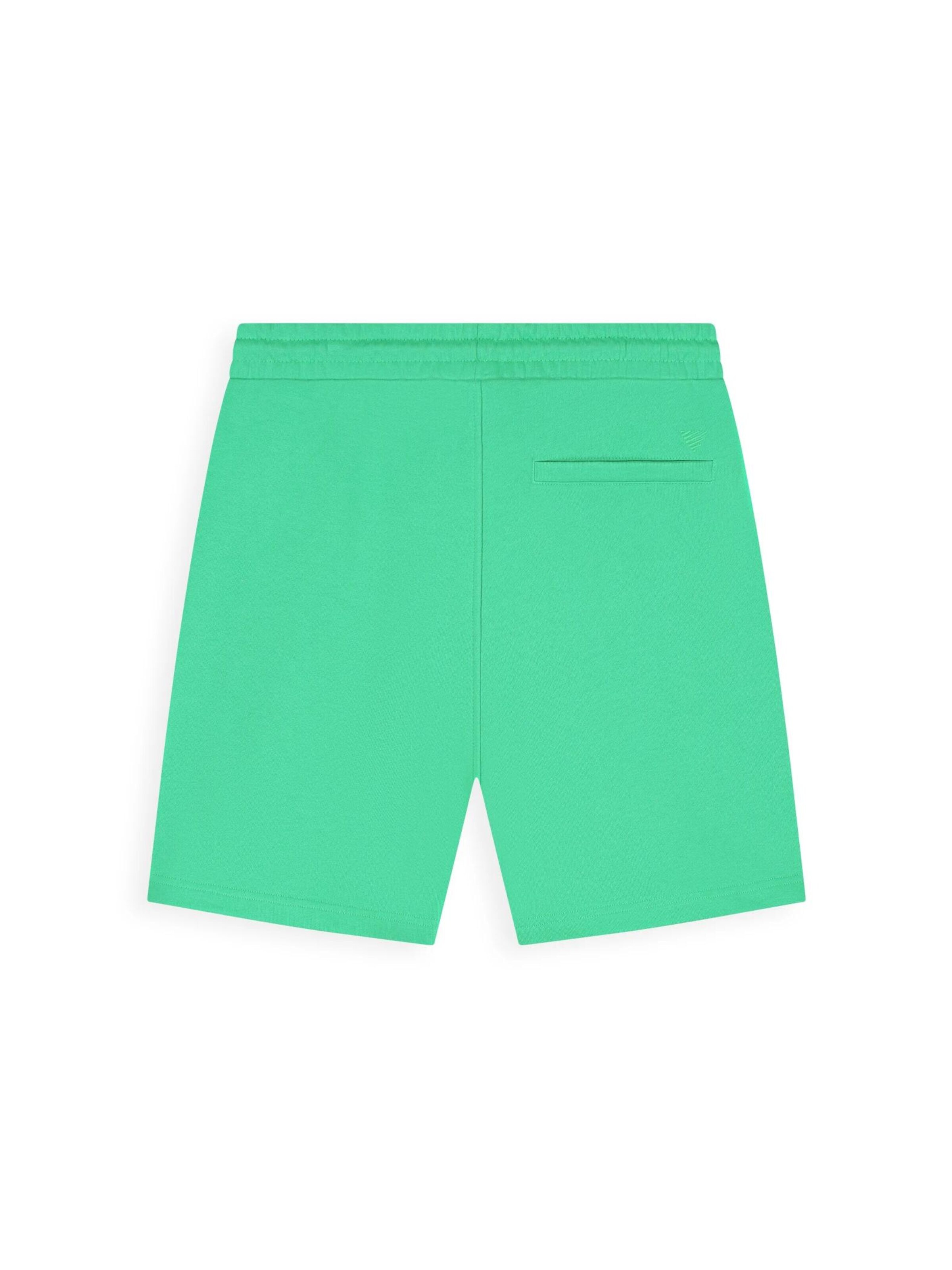 Pure Path Regular Pants in Green