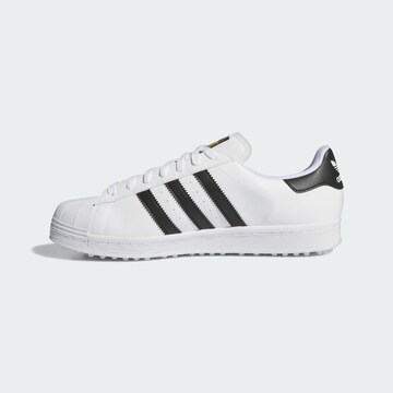 ADIDAS PERFORMANCE - Calzado deportivo 'Superstar' en blanco