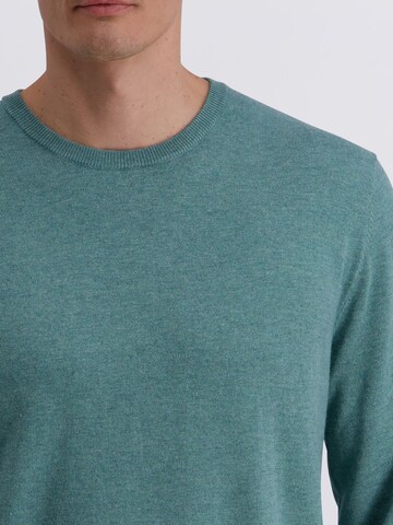 PIERRE CARDIN Pullover in Grün