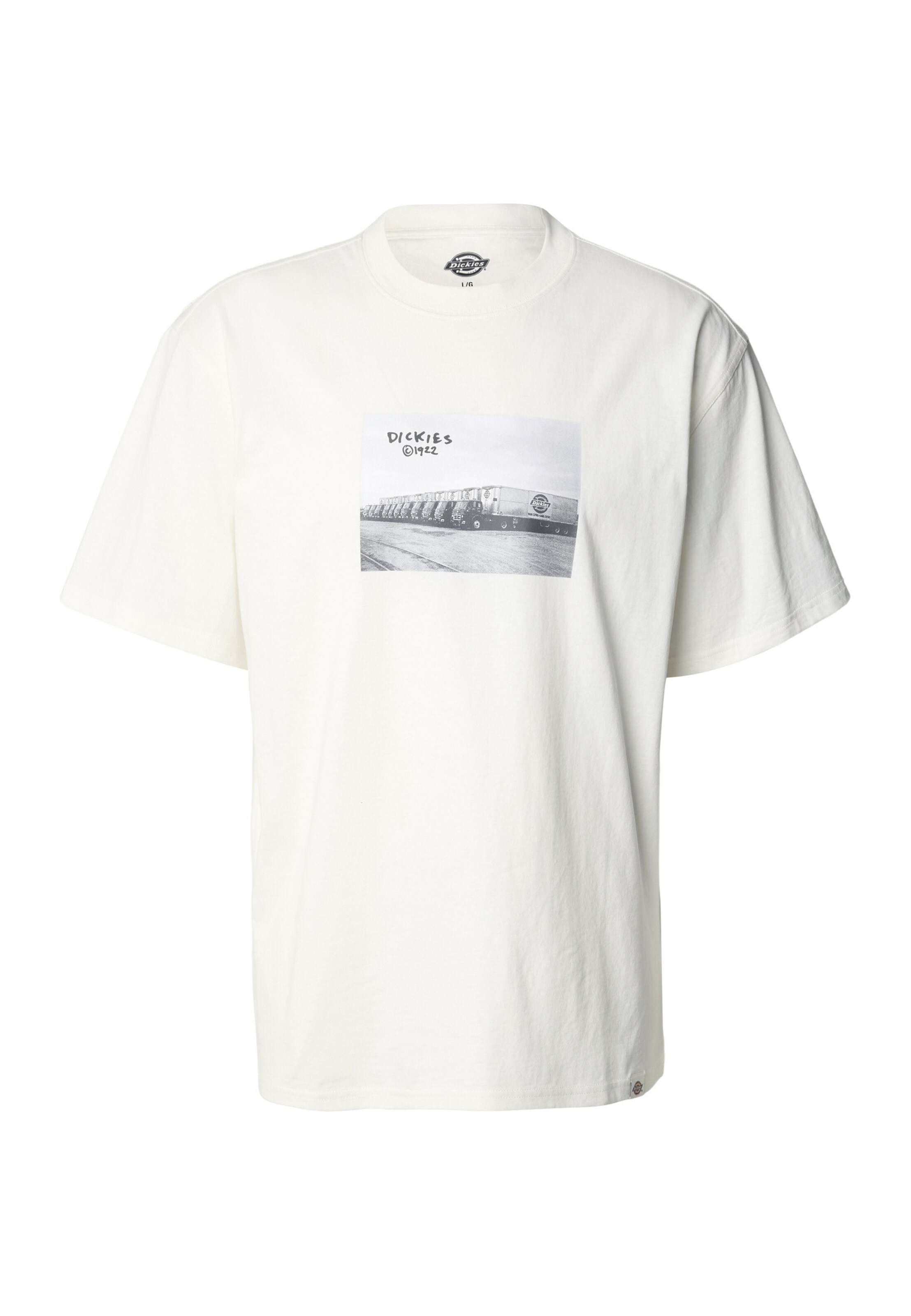 DICKIES Shirt in White: front