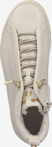 Paul Green High-Top Sneakers in Beige