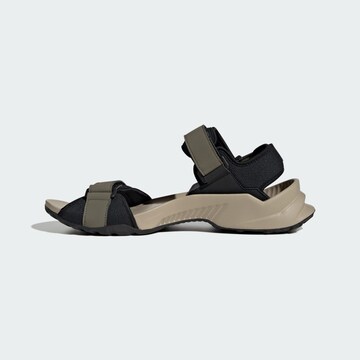 ADIDAS TERREX Sandalen 'Hydroterra' in Groen