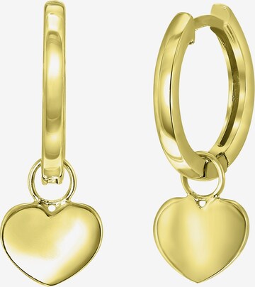 Lucardi Earrings in Gold: front