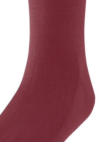 FALKE Socken 'Family'‌‌‌‌‌‌‌‌‌ in Rot