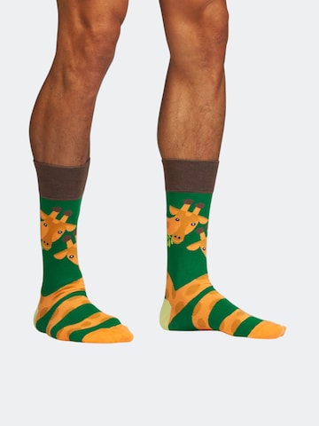 Chaussettes 'Wild Steps' DillySocks en mélange de couleurs : devant