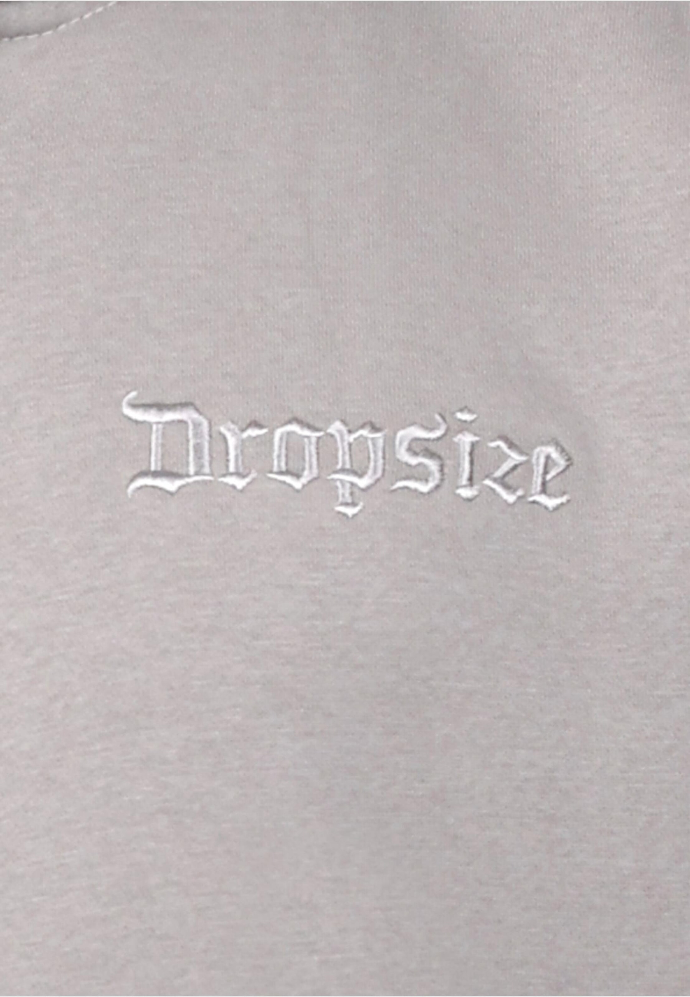 Giacca di felpa di Dropsize in beige