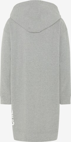 CHIEMSEE Sweatshirt in Grau