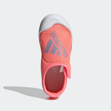 ADIDAS SPORTSWEAR Beach & Pool Shoes 'Altaventure' in Red