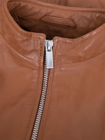 Jilani Between-Season Jacket 'Fulya' in Brown