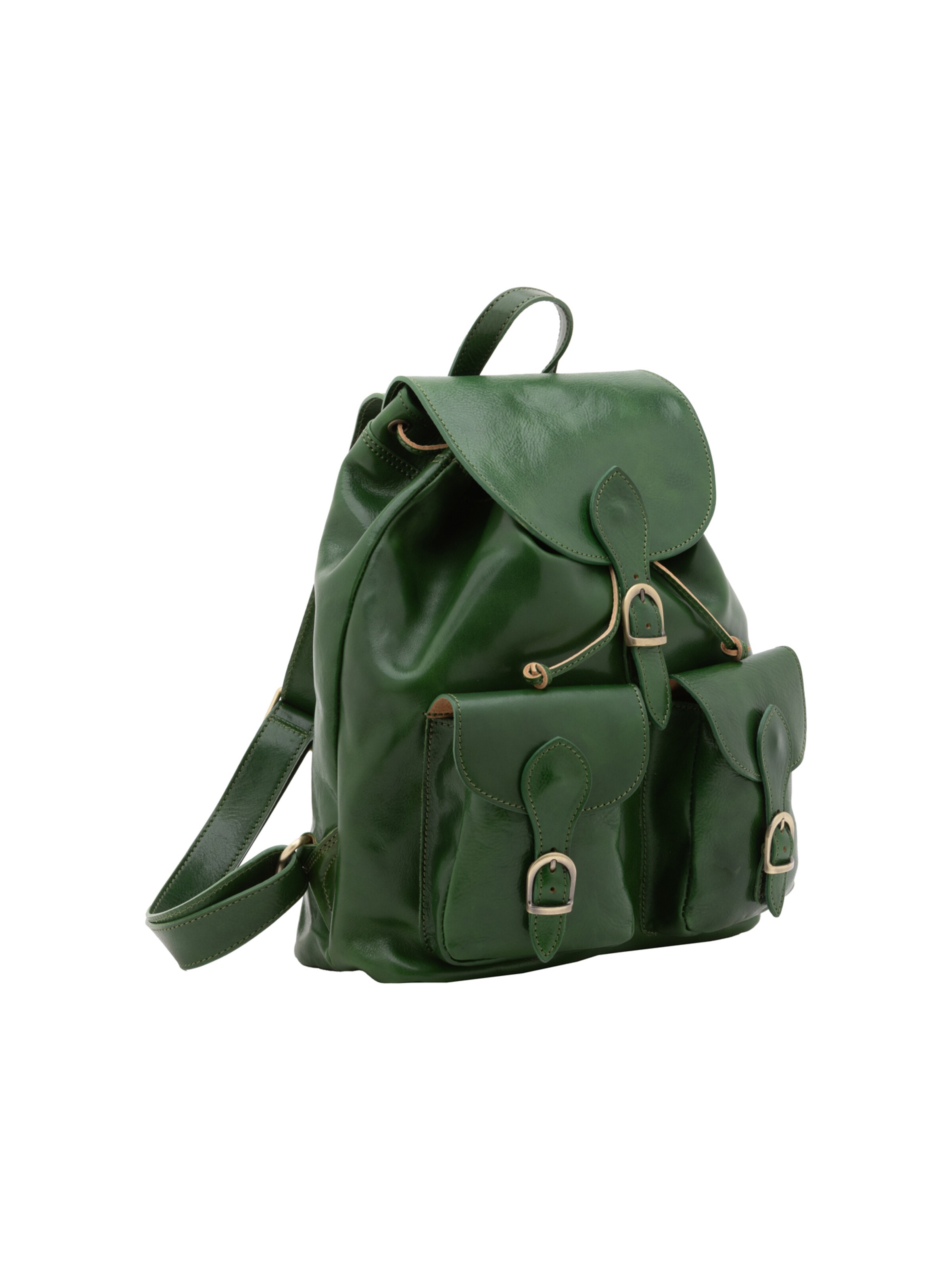 Viola Castellani Backpack in Green: front
