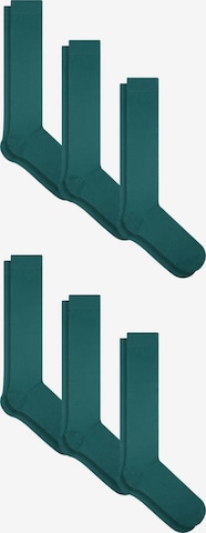 Albero Natur Knee High Socks in Green: front